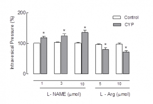 Graphic evaluation of normal female rats and rats with cystitis in- duced by CYP (150 mg/kg, i.p.). The drug effects are expressed by mean ± SEM (%) in rats which underwent the L-NAME and L-ARG administration via i.t., at 25-30 min intervals, at maximum intravesi- cal pressure. All animals were disposed on the special table in bipe- dal position. Values correspond to maximum intravesical pressure at the moment when there was loss via urethra of saline infused slowly in the bladder (leak point pressure). The asterisk (filled bar) indica- tes P<0.05.